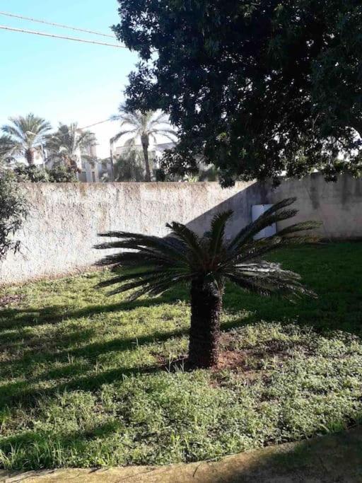 Villa Singola A 1300 Mt Dal Mare Mazara del Vallo Eksteriør billede